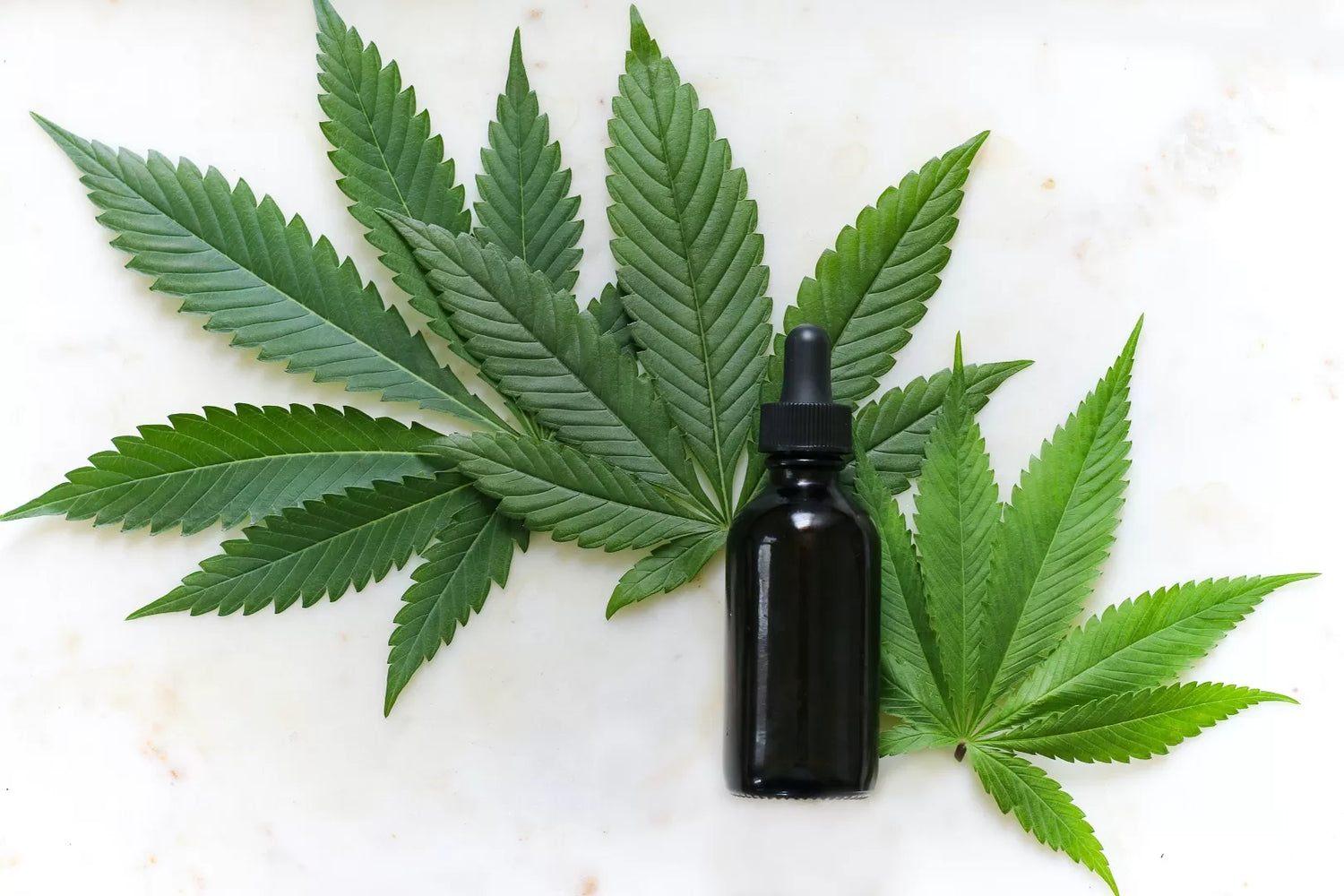 Hemp leaves and some CBDV oil