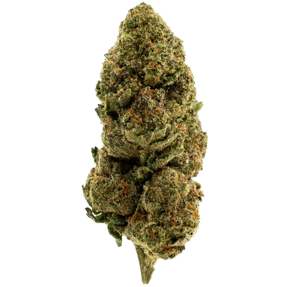 Black Magic THCA