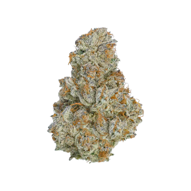 Sunset Sherbet THCA