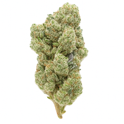 Cheetah Piss THCA