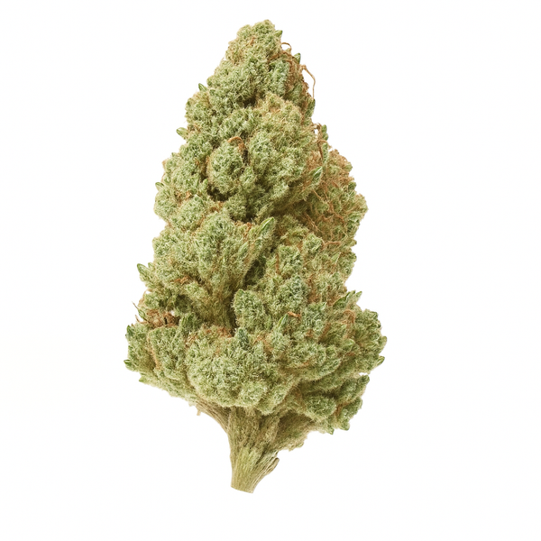 Purple Tangie THCA | Botany Farms