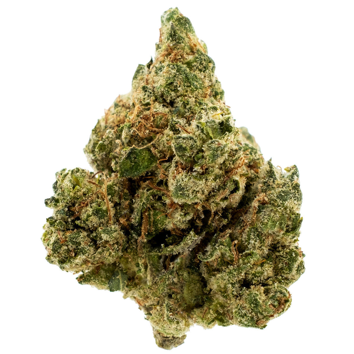 Gelato Kush Mintz THCA