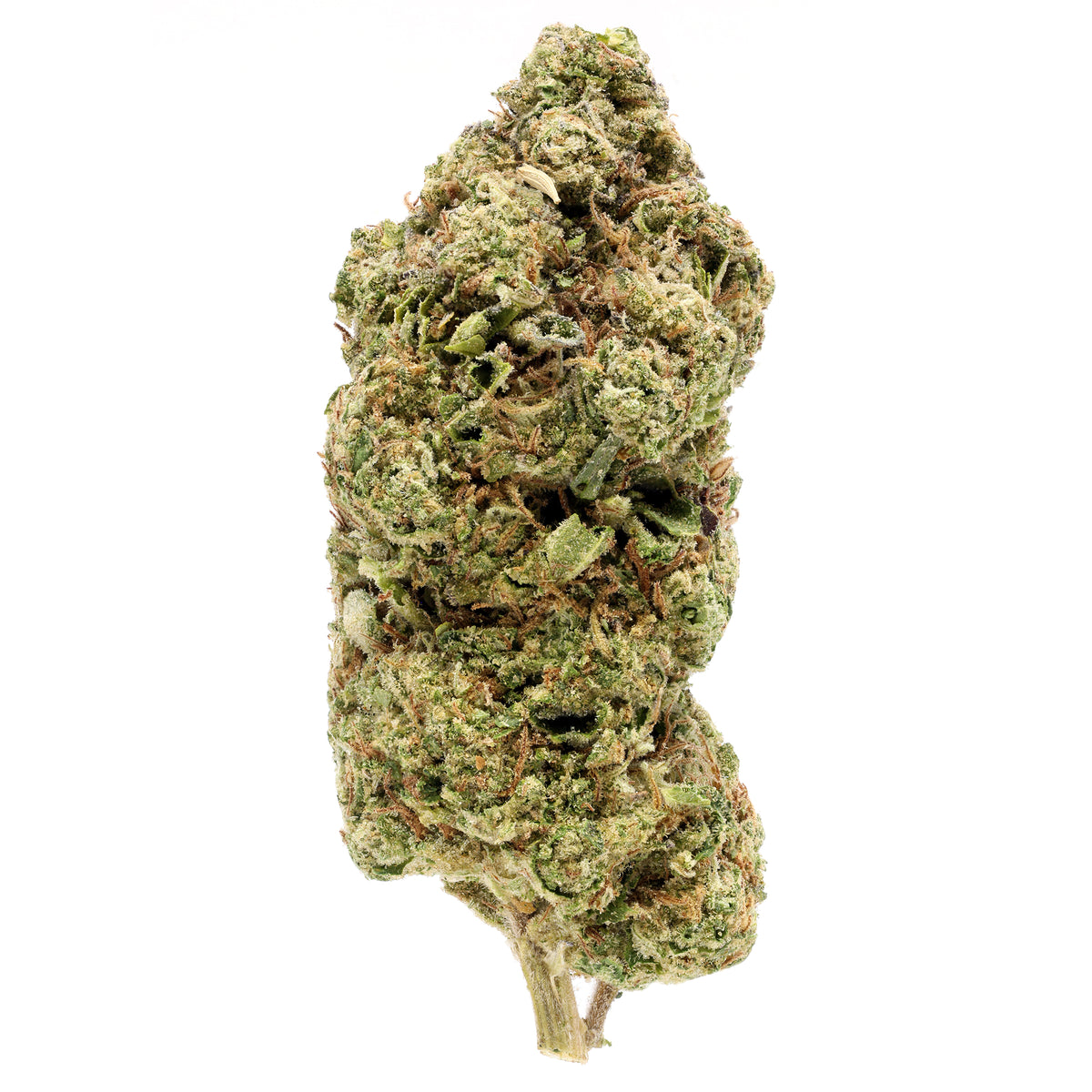 Pink Runtz THCA | Botany Farms