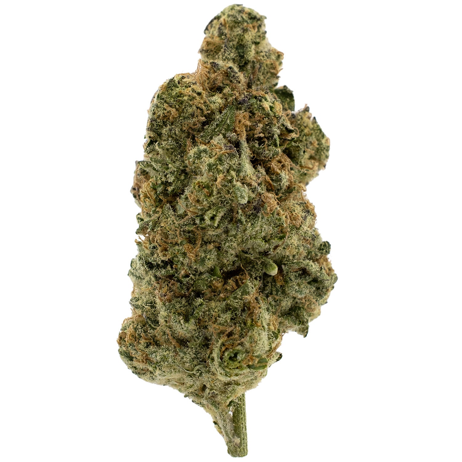 Rainbow Zangria THCA