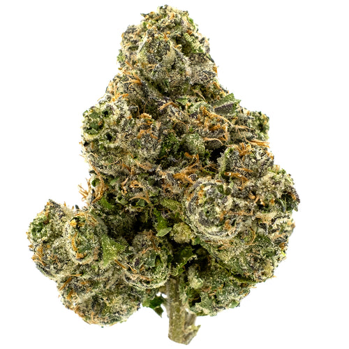 Grape Mimosa THCA