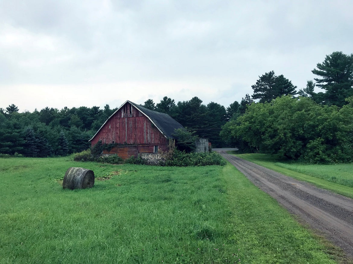 A barn in Wisconsin on a hemp farm
