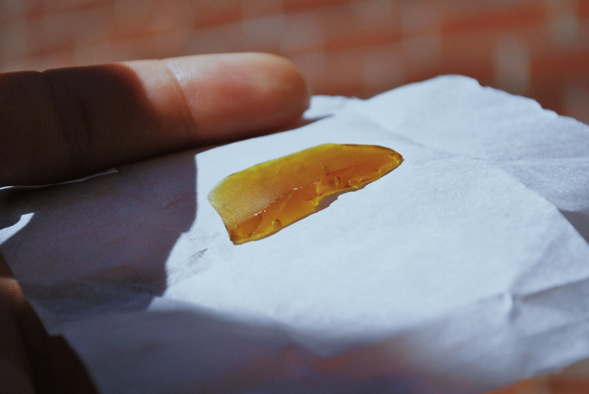 A man holds out parchment paper with Butane Hash oil (BHO)