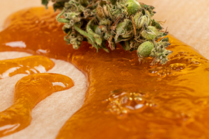 A close up of a cannabis bud embedded in some amber colored cannabis concentrate.