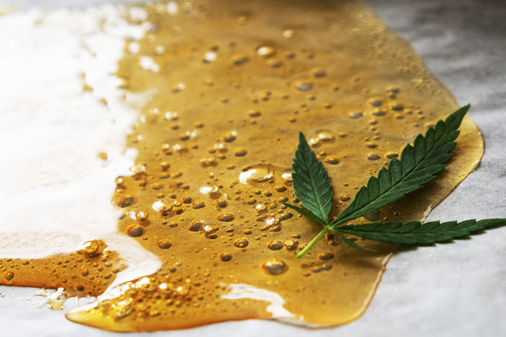 A marijuana leaf sits on top of a some cannabis concentrate known as shatter.
